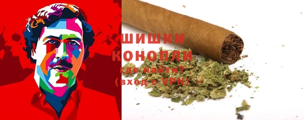 ALPHA PVP Инсар