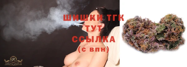 ALPHA PVP Инсар