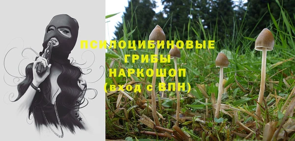 прущие крисы Шали