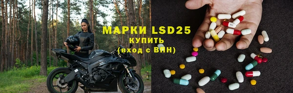 ALPHA PVP Инсар
