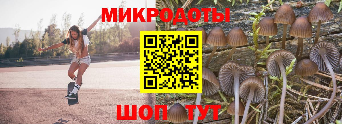 Галлюциногенные грибы мухоморы  Вход с VPN  Брянск 